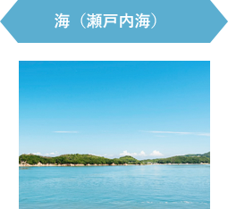 海(瀬戸内海)